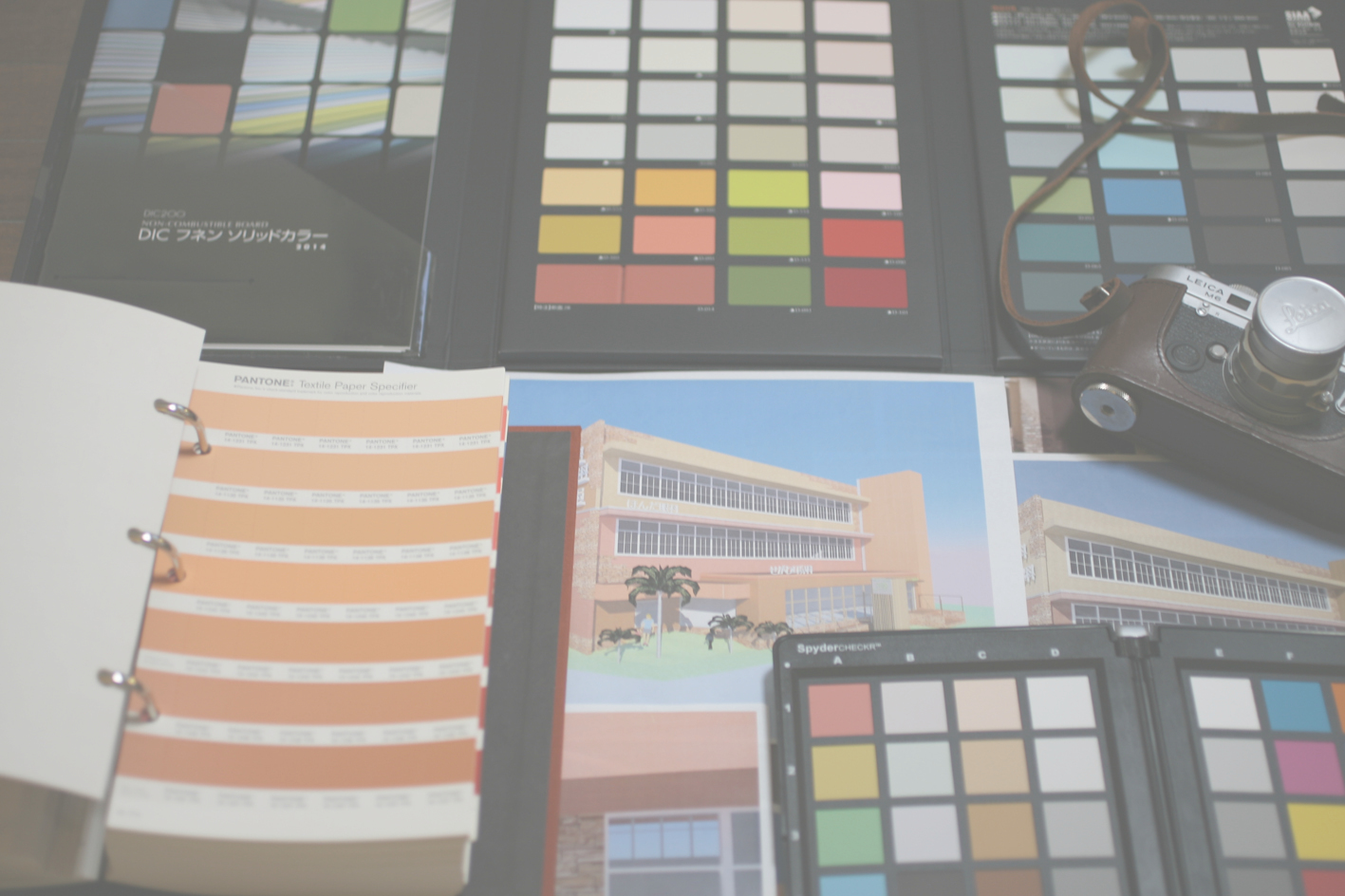 カラーコンサルタントのイルドクルールの実際のカラーコンサルテーションの様子の画像